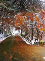 /album/%ed%8f%ac%ed%86%a0%ea%b0%a4%eb%9f%ac%eb%a6%ac%3a-%ec%b4%88%eb%a1%9d%ec%9a%b0%eb%ac%bc%ea%b0%80%ec%82%ac%ec%a7%84%eb%82%98%eb%88%94%eb%b0%a9/a12311127-1799491913611271-3258623079914652947-n-jpg/