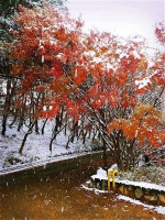 /album/%ed%8f%ac%ed%86%a0%ea%b0%a4%eb%9f%ac%eb%a6%ac%3a-%ec%b4%88%eb%a1%9d%ec%9a%b0%eb%ac%bc%ea%b0%80%ec%82%ac%ec%a7%84%eb%82%98%eb%88%94%eb%b0%a9/a12289522-1799491926944603-7089598485149550496-n-jpg/