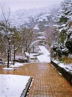 /album/%ed%8f%ac%ed%86%a0%ea%b0%a4%eb%9f%ac%eb%a6%ac%3a-%ec%b4%88%eb%a1%9d%ec%9a%b0%eb%ac%bc%ea%b0%80%ec%82%ac%ec%a7%84%eb%82%98%eb%88%94%eb%b0%a9/a12243345-1799491950277934-7010977643057804638-n-jpg1/