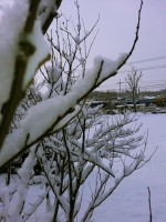 /album/%ed%8f%ac%ed%86%a0%ea%b0%a4%eb%9f%ac%eb%a6%ac%3a-%ec%b4%88%eb%a1%9d%ec%9a%b0%eb%ac%bc%ea%b0%80%ec%82%ac%ec%a7%84%eb%82%98%eb%88%94%eb%b0%a9/a12308831-1799492013611261-5077882604817716350-n-jpg/