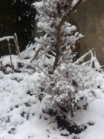 /album/%ed%8f%ac%ed%86%a0%ea%b0%a4%eb%9f%ac%eb%a6%ac%3a-%ec%b4%88%eb%a1%9d%ec%9a%b0%eb%ac%bc%ea%b0%80%ec%82%ac%ec%a7%84%eb%82%98%eb%88%94%eb%b0%a9/a12295370-1799492030277926-6500544239314958744-n-jpg/