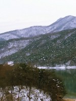 /album/%ed%8f%ac%ed%86%a0%ea%b0%a4%eb%9f%ac%eb%a6%ac%3a-%ec%b4%88%eb%a1%9d%ec%9a%b0%eb%ac%bc%ea%b0%80%ec%82%ac%ec%a7%84%eb%82%98%eb%88%94%eb%b0%a9/a12310579-1799492053611257-4064538186285750677-n-jpg/