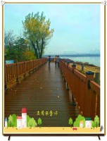 /album/%ed%8f%ac%ed%86%a0%ea%b0%a4%eb%9f%ac%eb%a6%ac%3a-%ec%b4%88%eb%a1%9d%ec%9a%b0%eb%ac%bc%ea%b0%80%ec%82%ac%ec%a7%84%eb%82%98%eb%88%94%eb%b0%a9/%ed%98%b8%ec%88%98%ec%82%ac%ec%a7%84-jpg/