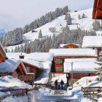 /album/%ed%8f%ac%ed%86%a0%ea%b0%a4%eb%9f%ac%eb%a6%ac1/a10290196-452511911599700-545776836539126680-n-jpg/